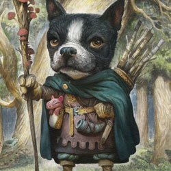 Product Photo of Boston Terrier Druid Playmat